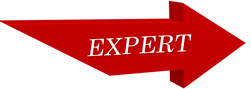 Expert Networking Courses